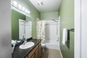 661 South 500 East Bathroom