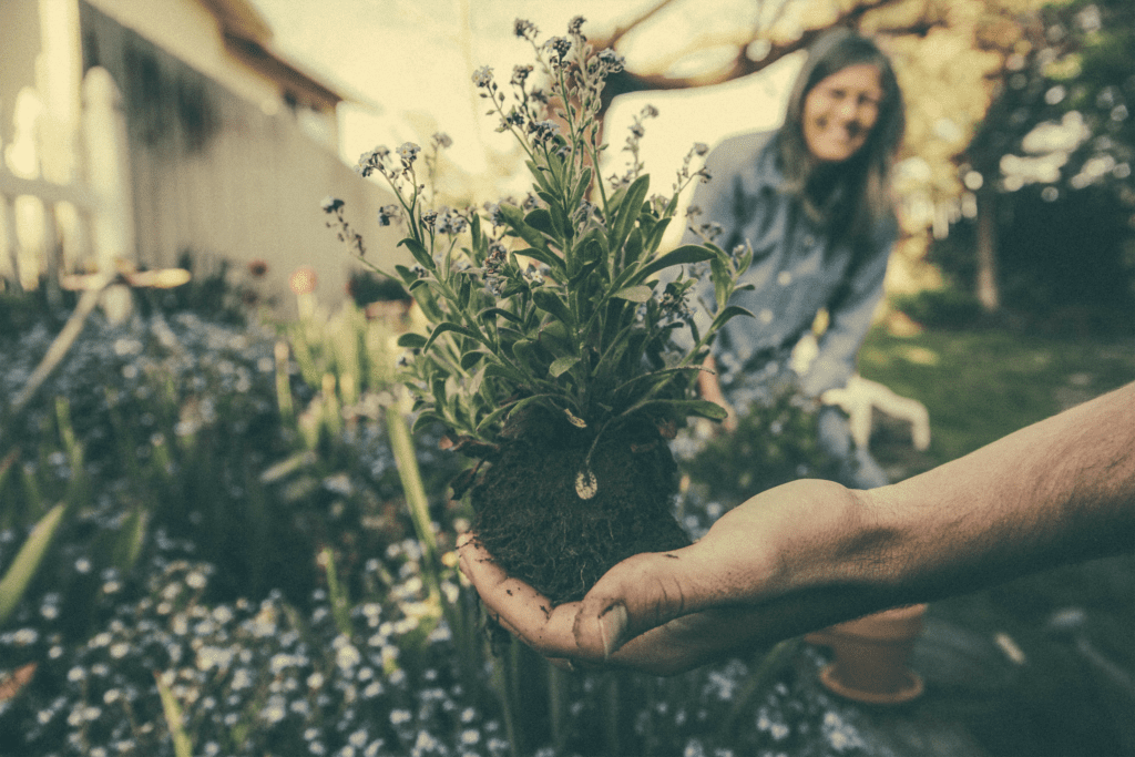4 Essential Gardening Tips to Boost Your Curb Appeal